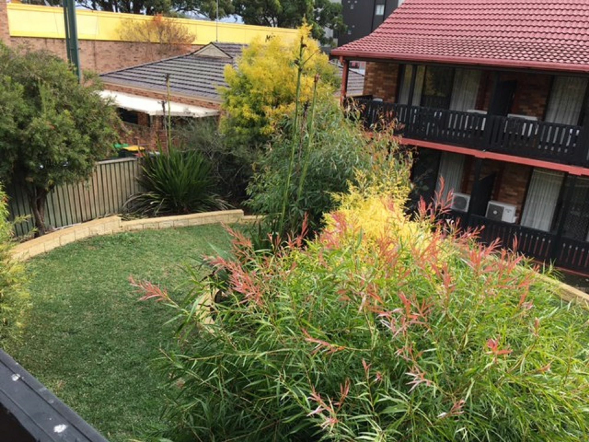Maclin Lodge Motel Campbelltown Εξωτερικό φωτογραφία